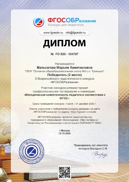 Диплом. Победитель Всероссийского конкурса педагогов.